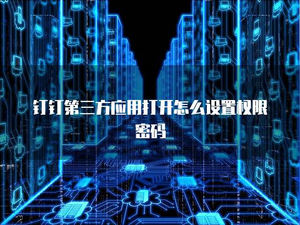 钉钉第三方应用打开怎么设置权限密码
