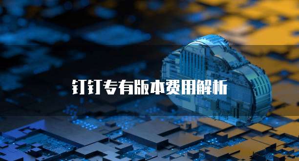 钉钉专有版本费用解析