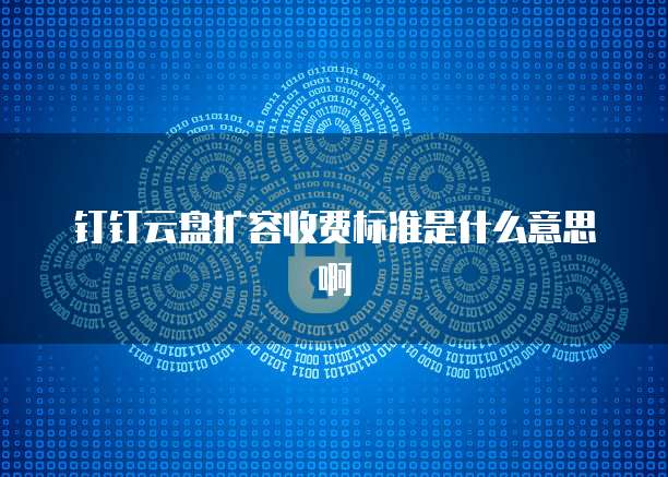 钉钉云盘扩容收费标准是什么意思啊