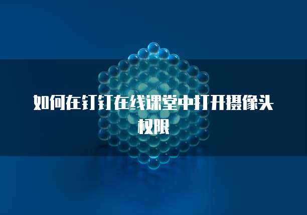 如何在钉钉在线课堂中打开摄像头权限