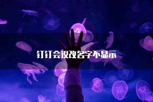 钉钉会议改名字不显示