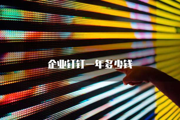 企业钉钉一年多少钱