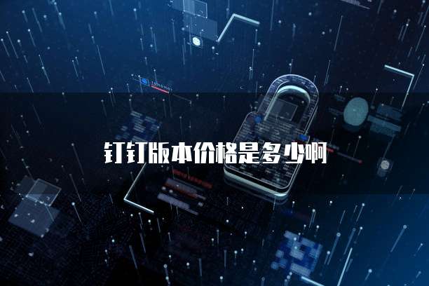 钉钉版本价格是多少啊