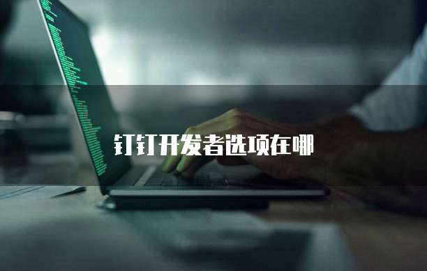 钉钉开发者选项在哪