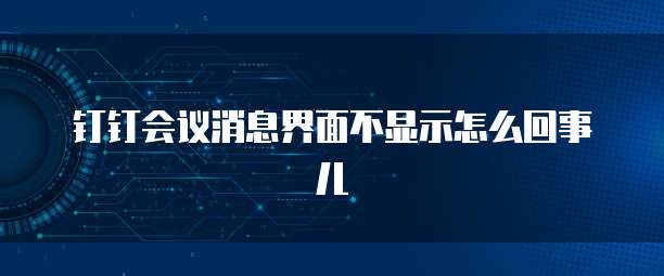 钉钉会议消息界面不显示怎么回事儿
