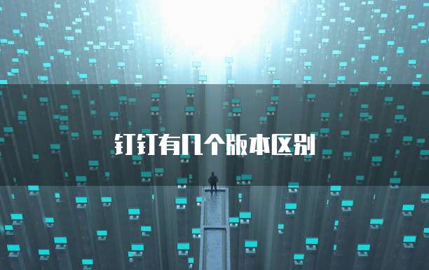 钉钉有几个版本区别