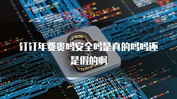 钉钉年费贵吗安全吗是真的吗吗还是假的啊