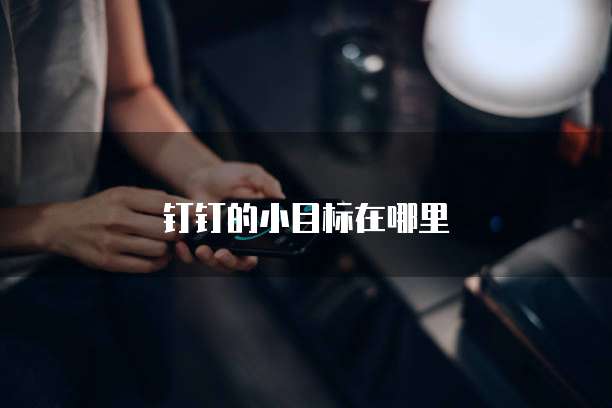 钉钉的小目标在哪里
