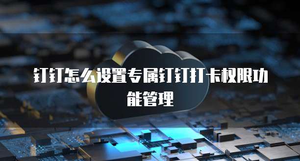 钉钉怎么设置专属钉钉打卡权限功能管理