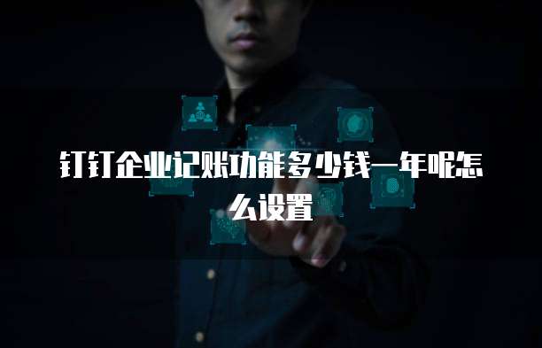 钉钉企业记账功能多少钱一年呢怎么设置