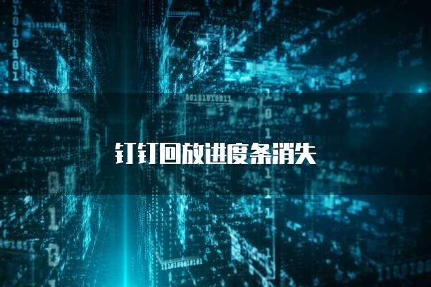 钉钉回放进度条消失