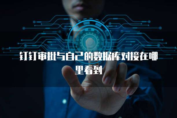 钉钉审批与自己的数据库对接在哪里看到