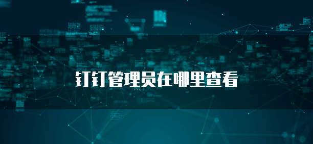钉钉管理员在哪里查看