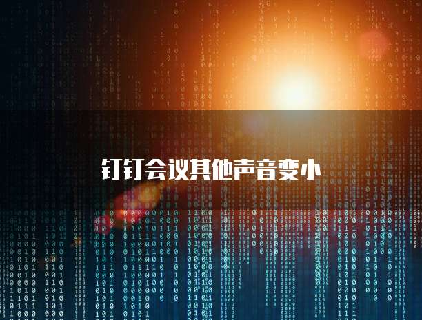 钉钉会议其他声音变小