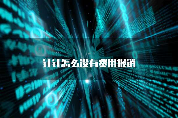 钉钉怎么没有费用报销