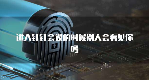 进入钉钉会议的时候别人会看见你吗