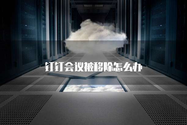 钉钉会议被移除怎么办