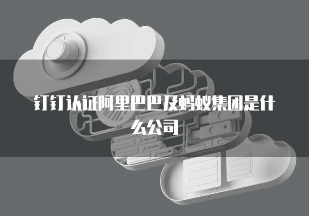 钉钉认证阿里巴巴及蚂蚁集团是什么公司