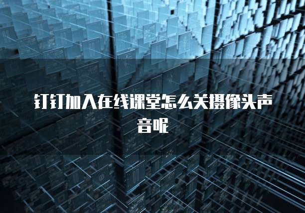 钉钉加入在线课堂怎么关摄像头声音呢