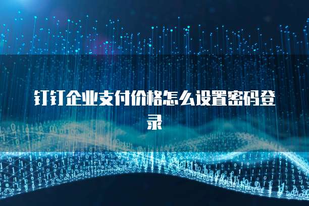 钉钉企业支付价格怎么设置密码登录
