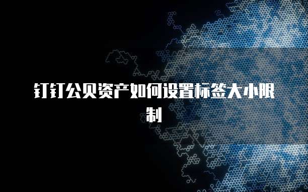 钉钉公贝资产如何设置标签大小限制