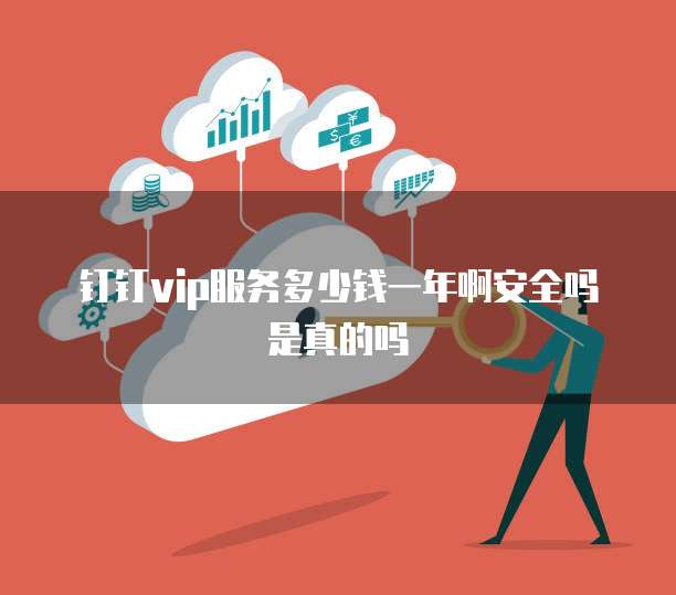 钉钉vip服务多少钱一年啊安全吗是真的吗
