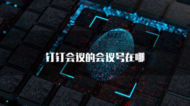 钉钉会议的会议号在哪