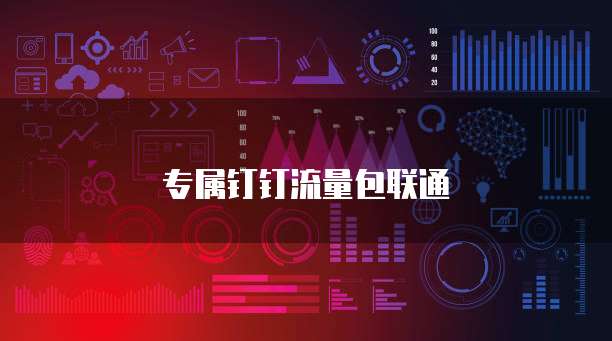 专属钉钉流量包联通