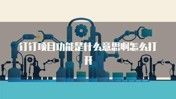 钉钉项目功能是什么意思啊怎么打开