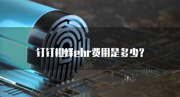 钉钉橙蜂ehr费用是多少？