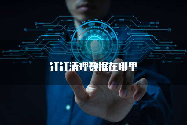 钉钉清理数据在哪里