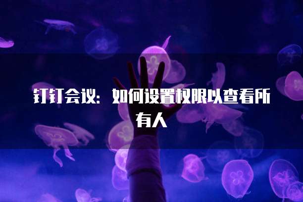 钉钉会议：如何设置权限以查看所有人