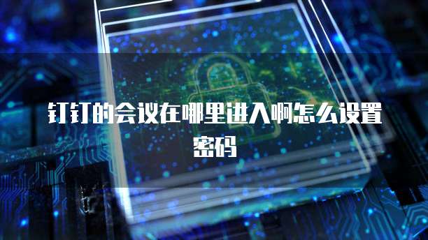 钉钉的会议在哪里进入啊怎么设置密码