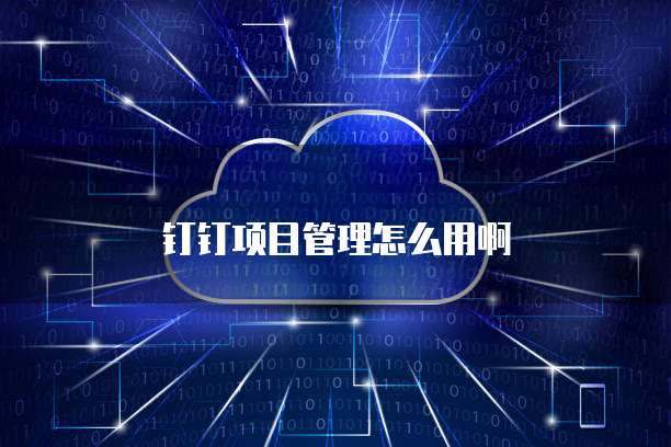 钉钉项目管理怎么用啊