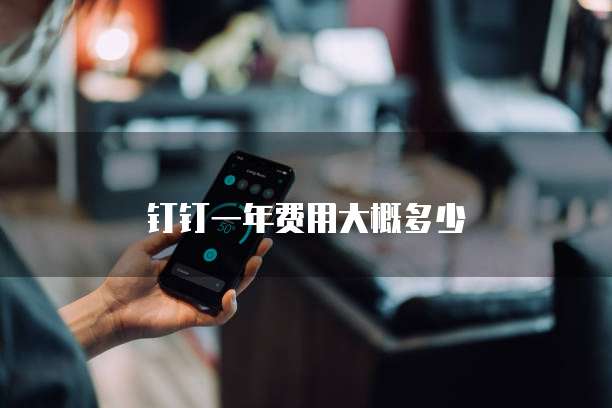 钉钉一年费用大概多少
