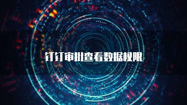 钉钉审批查看数据权限