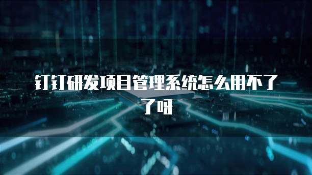 钉钉研发项目管理系统怎么用不了了呀